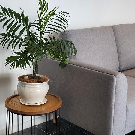 Alice House Hotel Auckland Luaran gambar